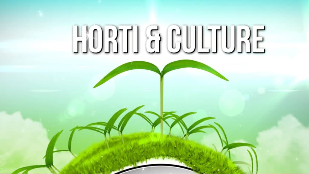 horti culture